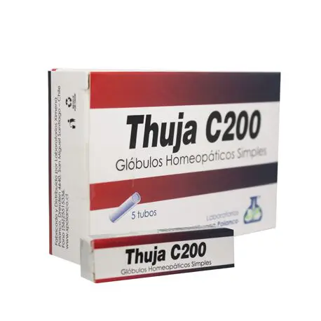 Thuja C200 Glbulos Simples x 5 Tubos - EcoFarmacias