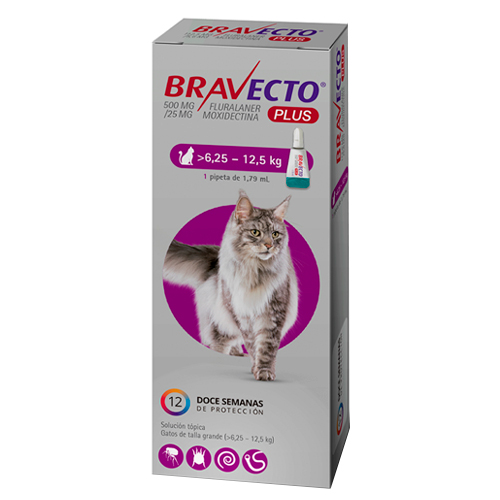 Bravecto Plus Gato 6.25 a 12.5 kg x 1 pipeta
