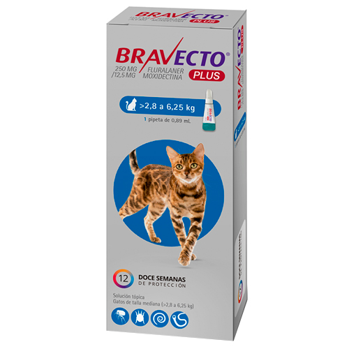 Bravecto Plus Gato 2.8 a 6.25 kg x 1 pipeta
