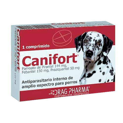 Canifort x 1 comprimido